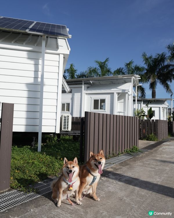 可以帶狗狗一齊玩既度假村🏝️