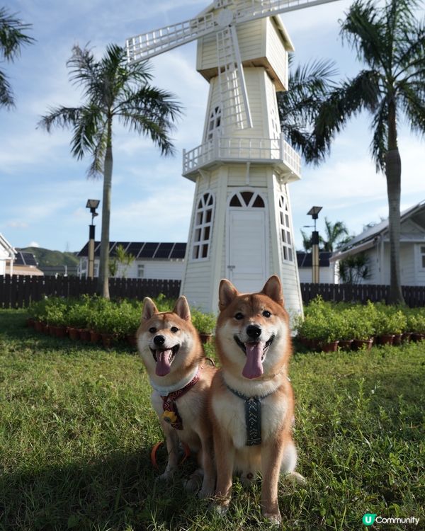 可以帶狗狗一齊玩既度假村🏝️