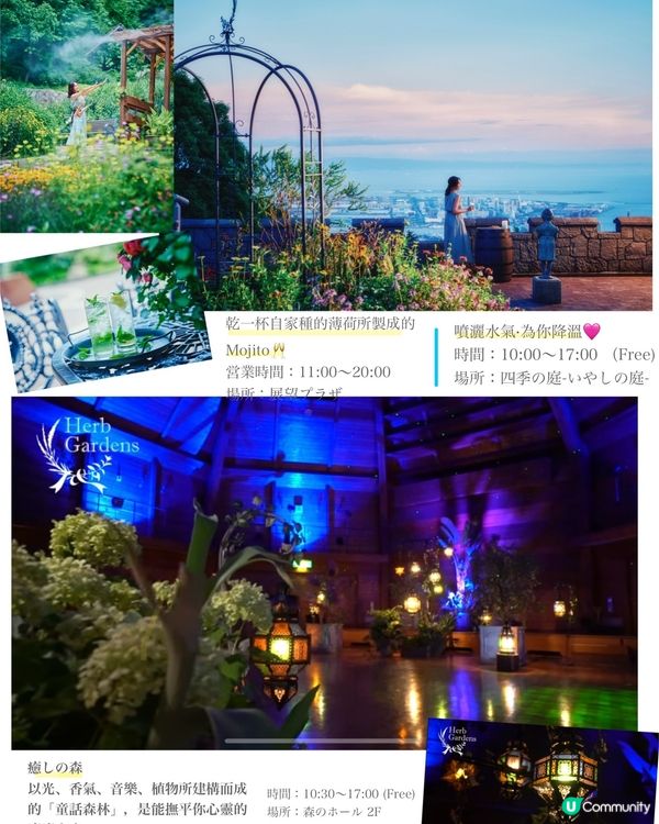 神戶夏日花草光影之旅👒🌼🪴💫（～1/9）