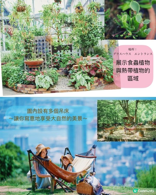 神戶夏日花草光影之旅👒🌼🪴💫（～1/9）