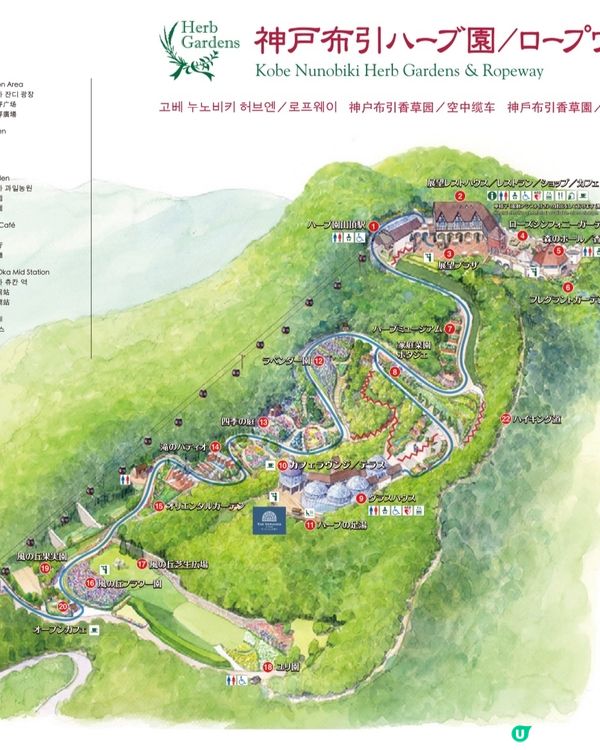 神戶夏日花草光影之旅👒🌼🪴💫（～1/9）