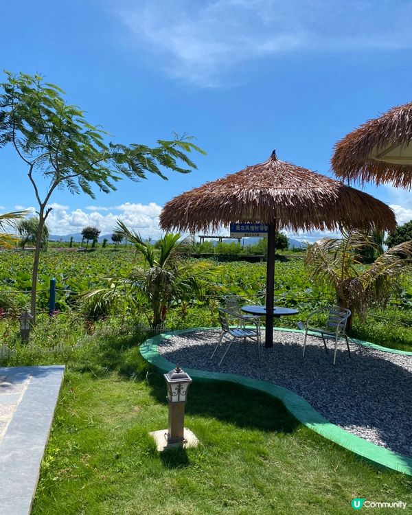 東南亞風-五豐村