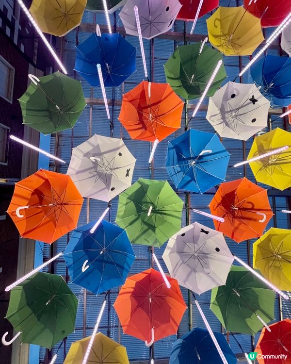 在日本貓島遇上了好天氣和可愛的貓咪