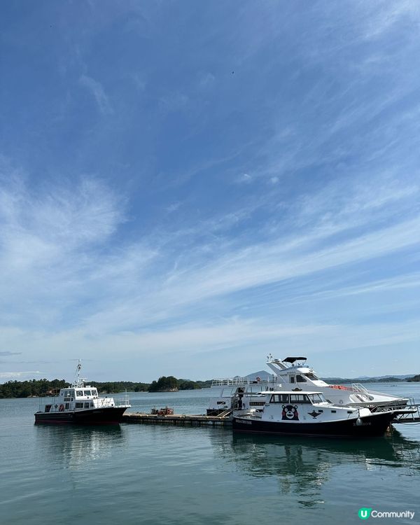 呢個係去左九州熊本天草市撘船出海睇野生海豚，同時間有20-3...
