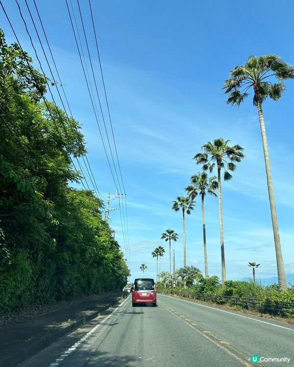 呢個係去左九州熊本天草市撘船出海睇野生海豚，同時間有20-3...