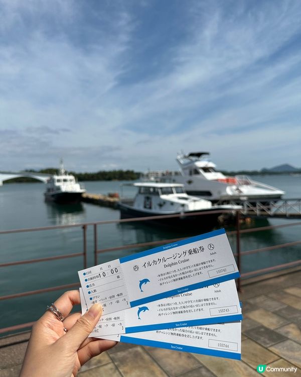 呢個係去左九州熊本天草市撘船出海睇野生海豚，同時間有20-3...