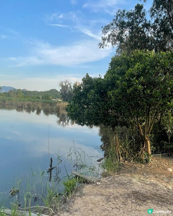 南生圍之日與夜