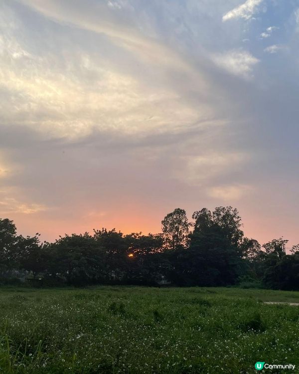 南生圍之日與夜