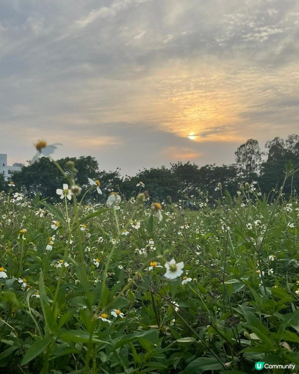 南生圍之日與夜