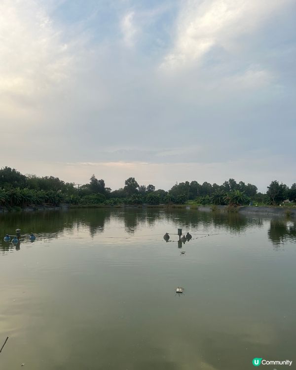 南生圍之日與夜