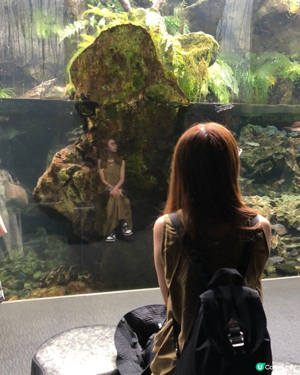 日本大阪親子之旅，與孩子一同體驗異國風情，釋放平日積存的壓力...