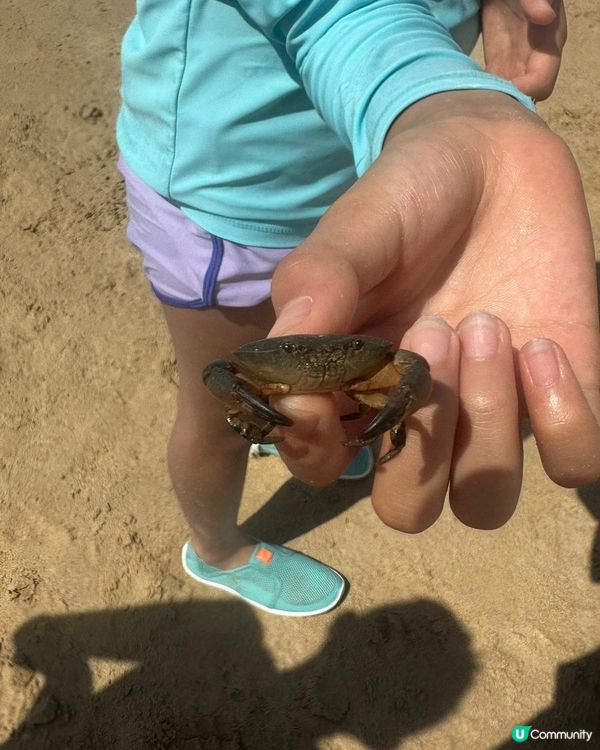 水清沙幼的甕缸灣，由西貢碼頭出發半小時就到，十分少人的沙灘，...