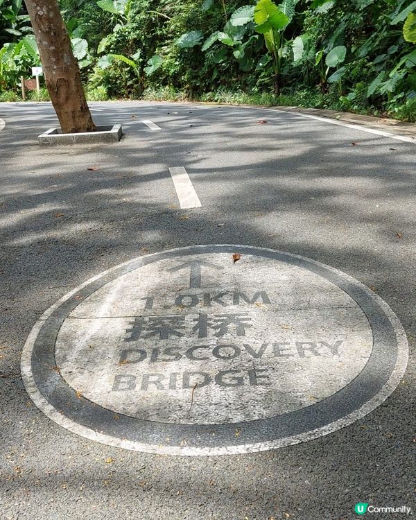 風光日麗，向山面海，美倫美奐，再加上有偶像加持既外景打卡靚位...