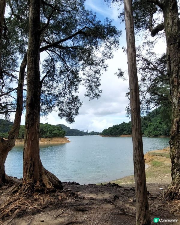 風光日麗，向山面海，美倫美奐，再加上有偶像加持既外景打卡靚位...