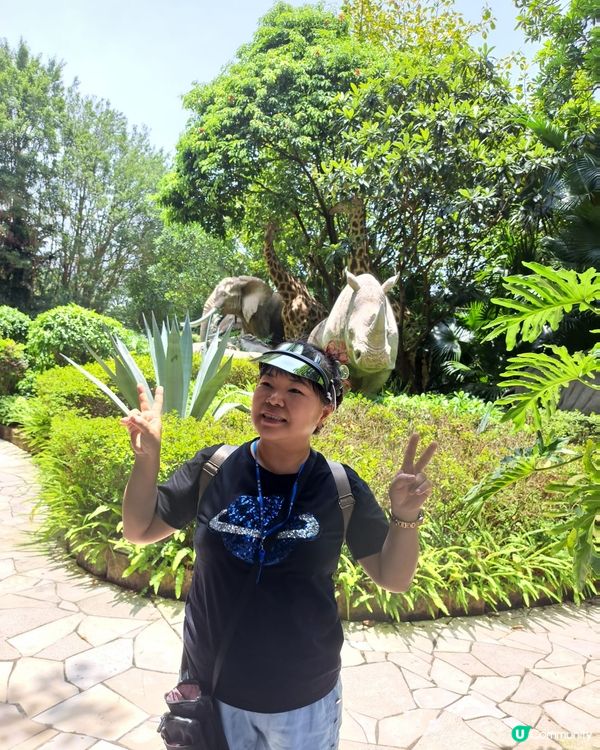 香港馬彎挪亞方舟介紹上帝拯救挪亞一家免被鴻水毀滅和保存各一雙...