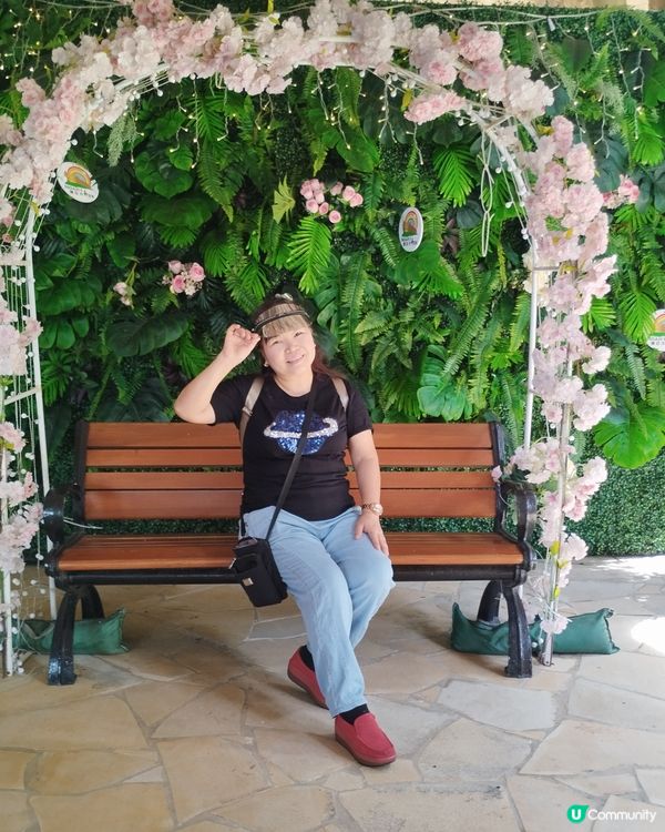 香港馬彎挪亞方舟介紹上帝拯救挪亞一家免被鴻水毀滅和保存各一雙...