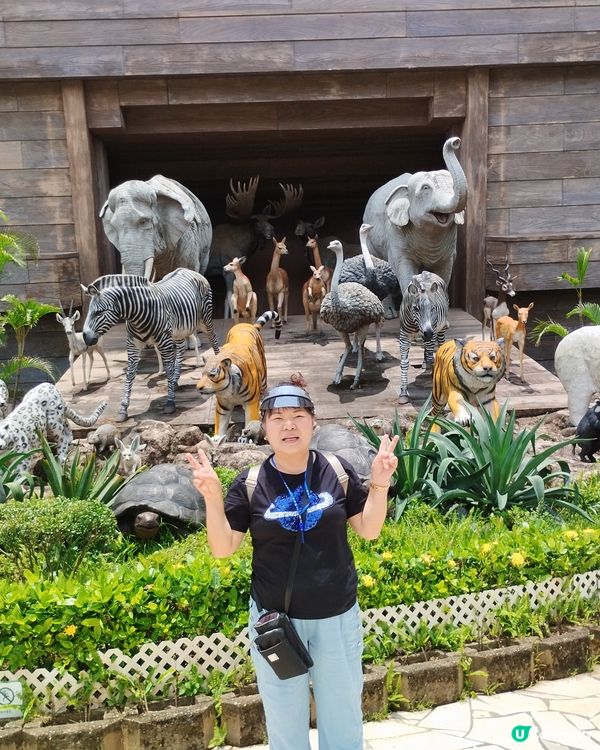 香港馬彎挪亞方舟介紹上帝拯救挪亞一家免被鴻水毀滅和保存各一雙...