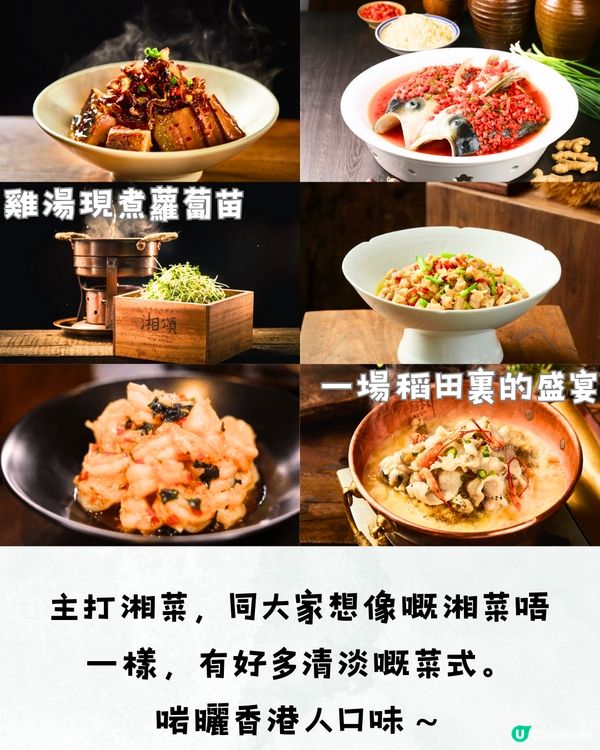 深圳6大打卡中菜餐廳🌶️古色古香/聚會一流🍃附交通教學🚗