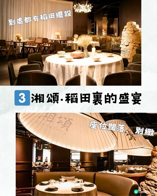 深圳6大打卡中菜餐廳🌶️古色古香/聚會一流🍃附交通教學🚗