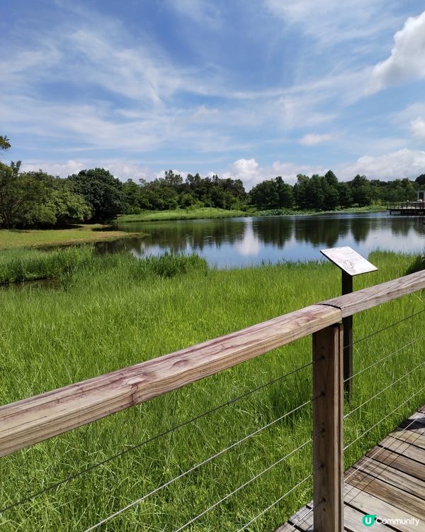 香港濕地公園闢設的保護區佔地60公頃，均經過謹慎設計及重新創...