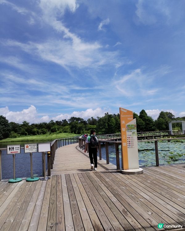 香港濕地公園闢設的保護區佔地60公頃，均經過謹慎設計及重新創...