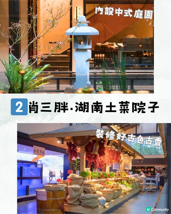 深圳6大打卡中菜餐廳🌶️古色古香/聚會一流🍃附交通教學🚗