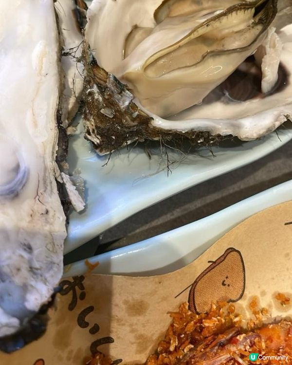 上左福田食老城鮮貝貝鍋，全個過程一粒沙都冇食到，仲要好鮮甜