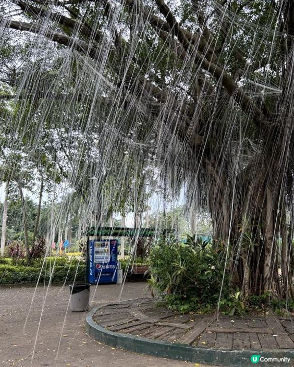 重生之我在觀瀾湖先鋒研學營當學員