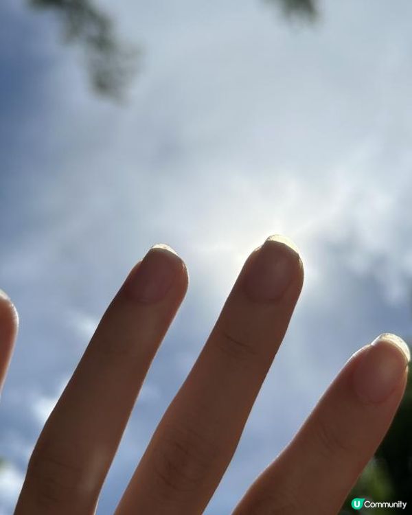 重生之我在觀瀾湖先鋒研學營當學員