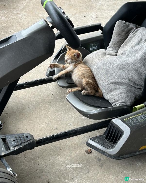 重生之我在觀瀾湖先鋒研學營當學員