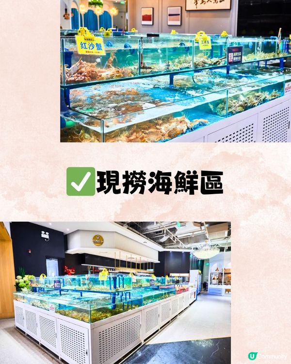 深圳必食蒸氣海鮮放題！任食大閘蟹/過20款海鮮~每位¥118起‼️