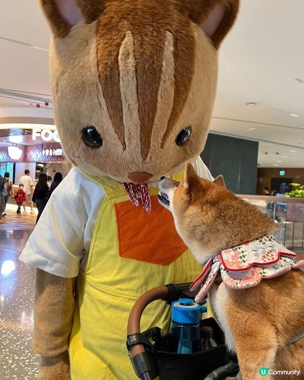 3隻可愛小狗🤎