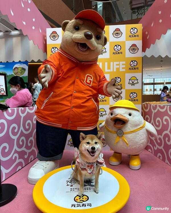 3隻可愛小狗🤎