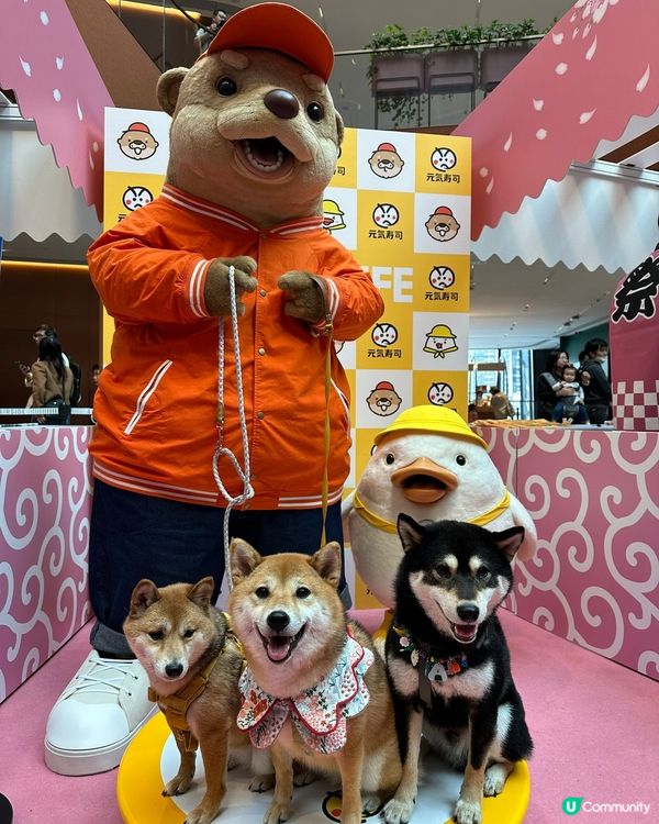 3隻可愛小狗🤎