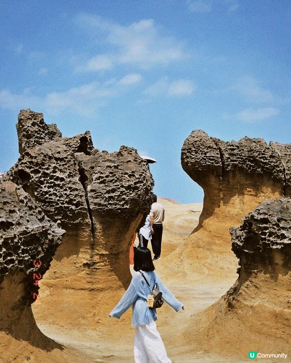 台北包車一日遊💓