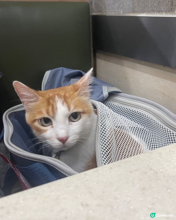 店長GEGE 睇完醫生