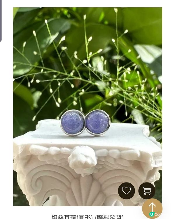 《OOTD ~ Tue 🐨》