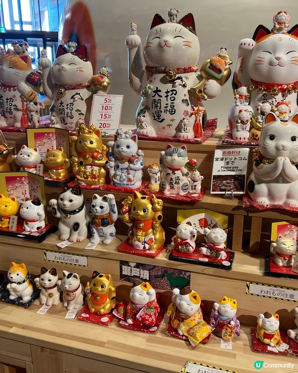 常滑AEON Mall-睇全世界最大的室內招財貓