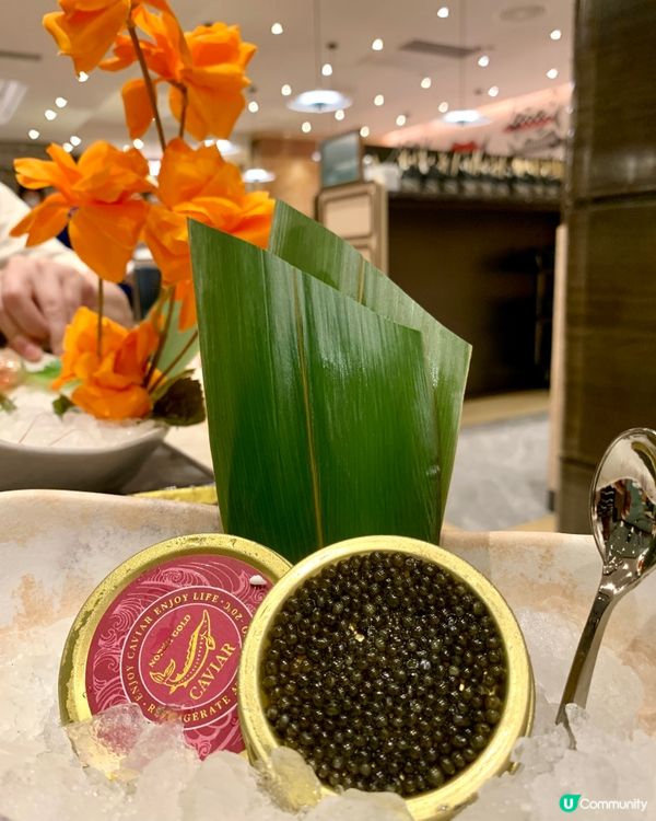 ～勁回本任食魚子醬～