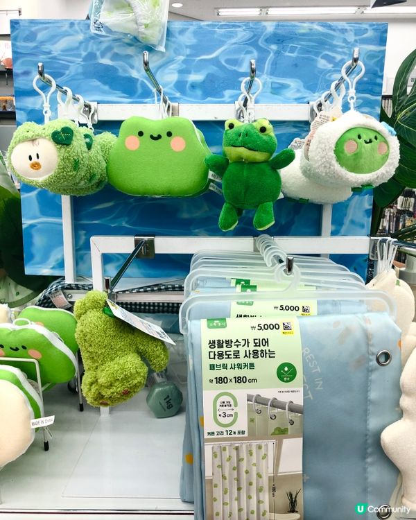 💚🐸 韓國DAISO新出 雨後小青蛙系列
