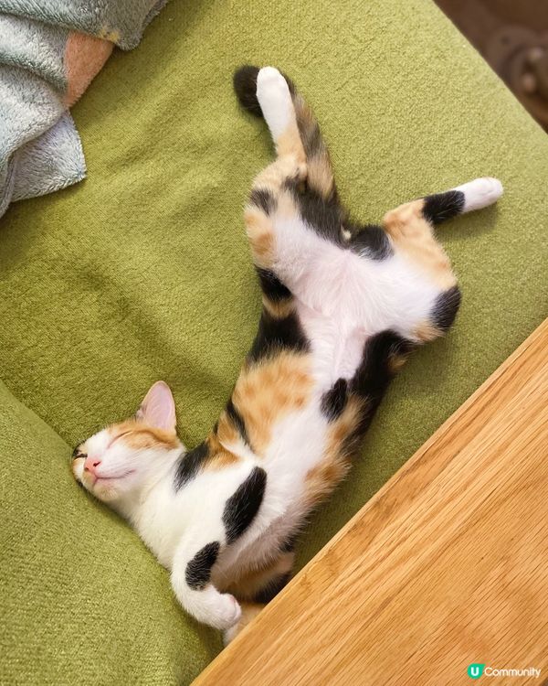 瞓到咁醜怪嘅～ 你女仔嚟嫁..🥺🥺