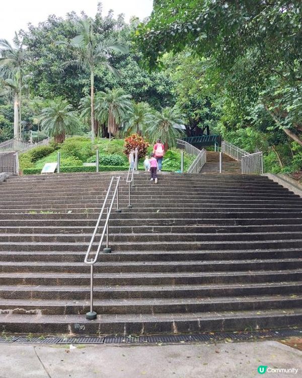 ﹝山系小達人﹞#80 五桂山【藍田】