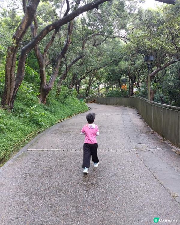 ﹝山系小達人﹞#80 五桂山【藍田】