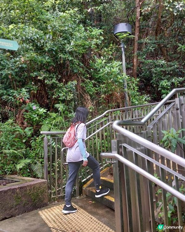 ﹝山系小達人﹞#80 五桂山【藍田】