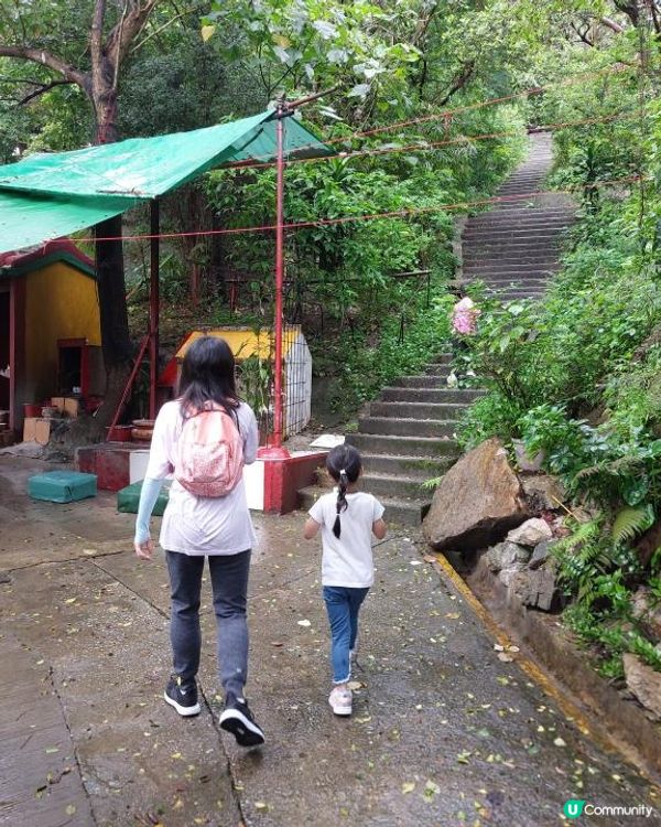 ﹝山系小達人﹞#80 五桂山【藍田】