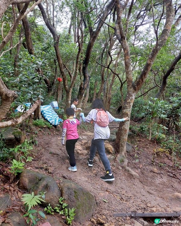 ﹝山系小達人﹞#80 五桂山【藍田】