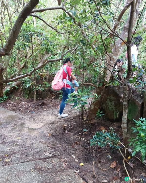 ﹝山系小達人﹞#80 五桂山【藍田】