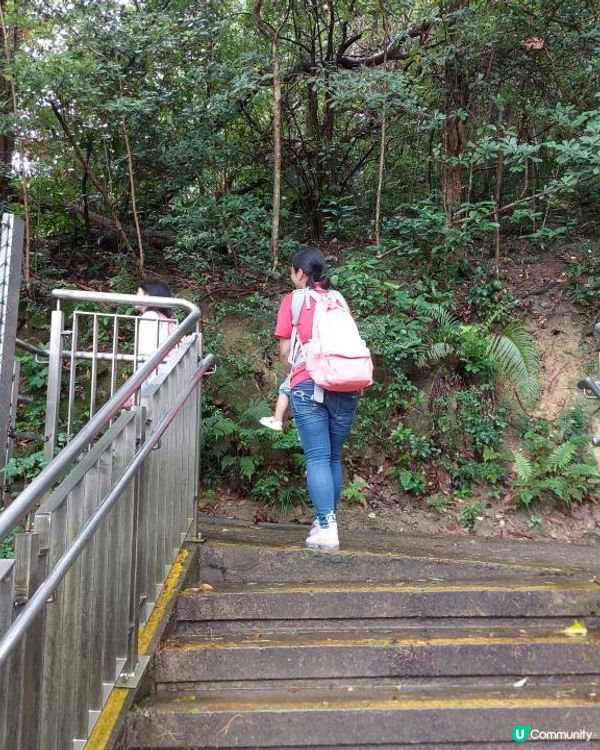 ﹝山系小達人﹞#80 五桂山【藍田】