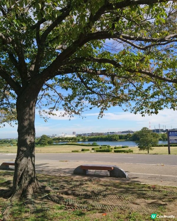 #夏日出遊    東京都葛飾區柴又半日散策