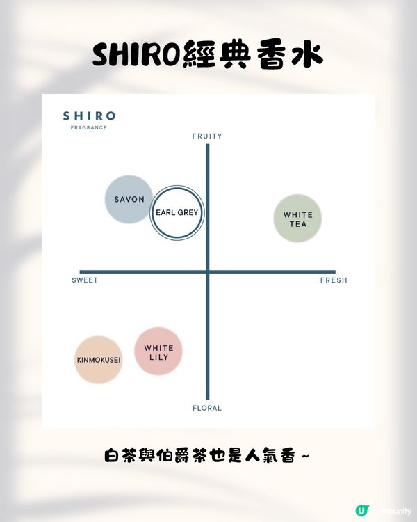 日本小眾香氛保養品牌SHIRO 10大必買推介✨成份簡單天然養出高級肌膚😍